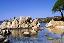 关于西甲豪门经历起伏，球队实力获得质的提升的信息